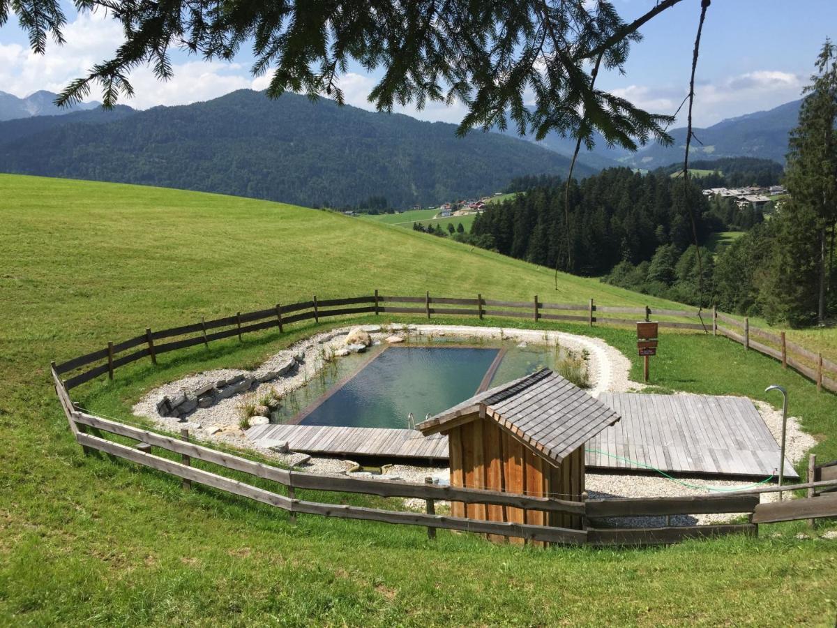 Sonnleit'N Zimmer 7 Abtenau Zewnętrze zdjęcie